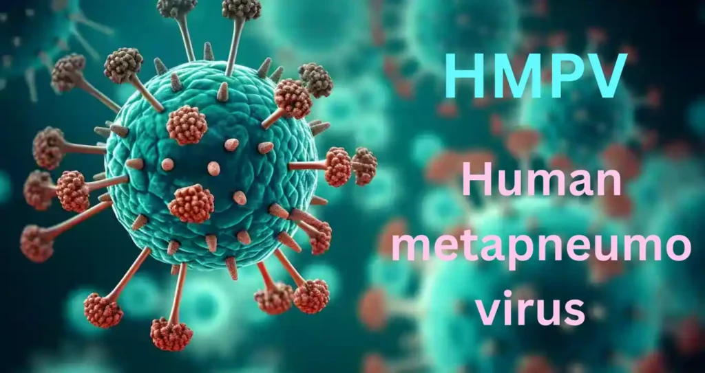 HMPV : HMP Virus Symptoms, Risk Groups, Transmission, Treatment & Prevention