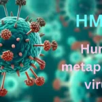 HMPV : HMP Virus Symptoms, Risk Groups, Transmission, Treatment & Prevention